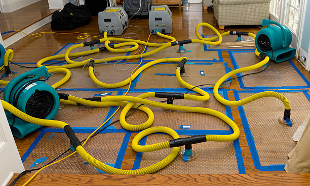 Professional Structural Drying And Dehumidification technician working in Moses Lake, WA